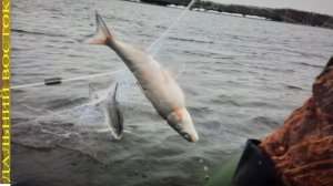 Рыбалка на сеть. Карась,щука,сиг,ленок..avi