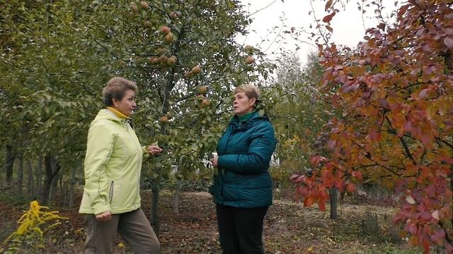 10 сортов вкусных и зимостойких груш