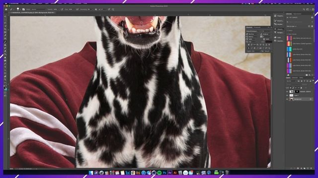 How To Photoshop A Dog's Head On A Person's Body смотреть онлайн