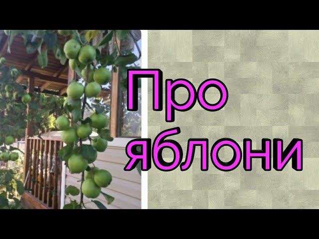Про яблони.Как омолодить старые яблонями смотреть онлайн