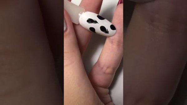 ingarden_official: Экспресс дизайн. Перышко