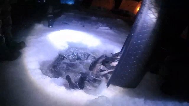 ЛОВЛЯ ОСЕТРА СО ЛЬДА!ЗАПУСК ТРЕХ КРУПНЫХ БОНУСНЫХ ОСЕТРА ПО 10КГ КАЖДЫЙ! К ЗАПУСКУ ОСЕТРА В КОКИНО! смотреть онлайн
