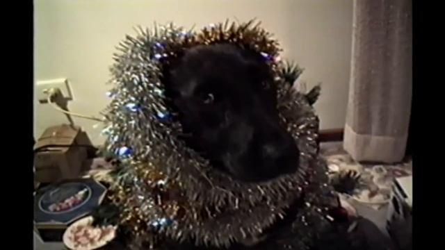 Festive Pets смотреть онлайн