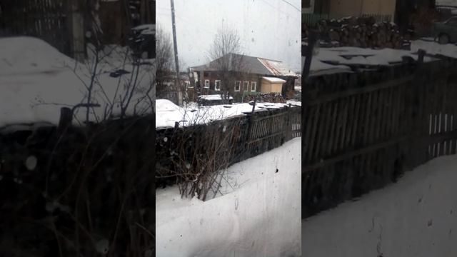 Снегири клюют черноплодную рябину смотреть онлайн