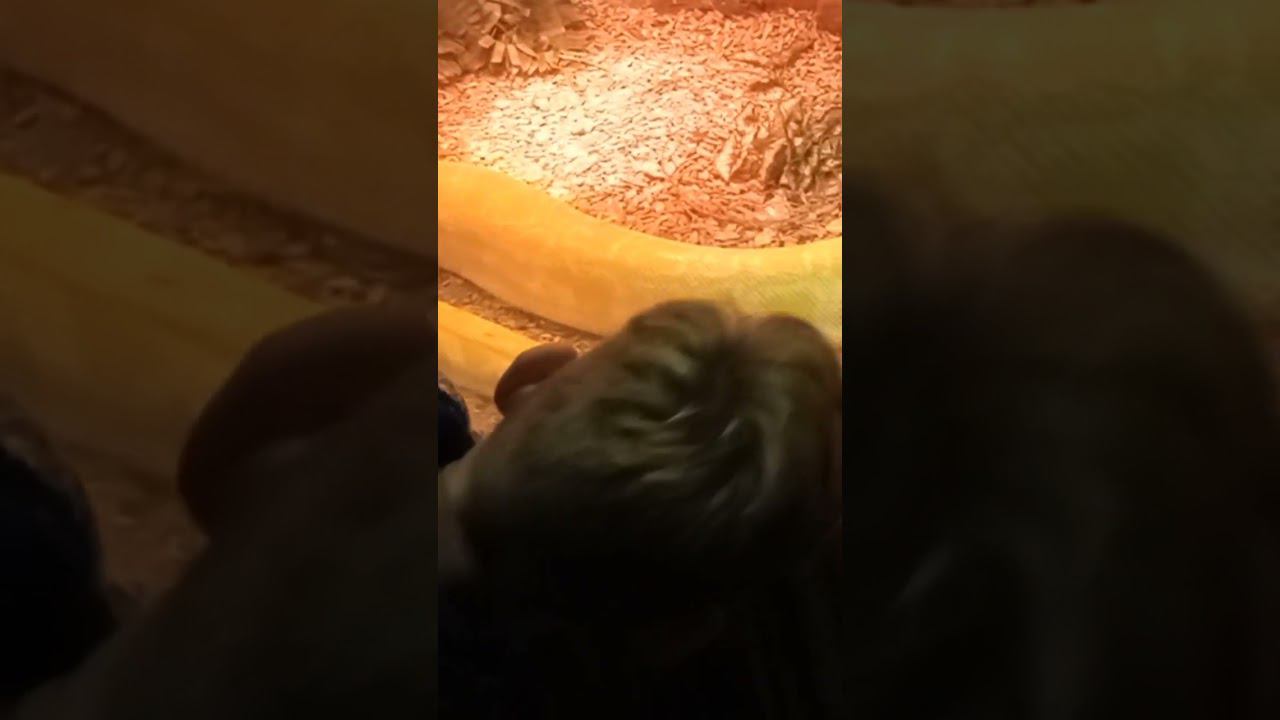 Что за червяк? смотреть онлайн