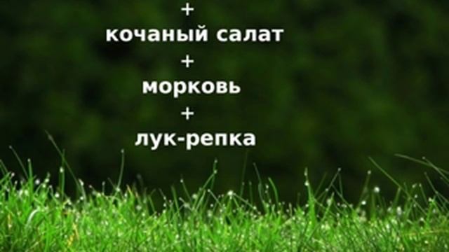 СМЕШАННЫЕ ПОСАДКИ И СЕВООБОРОТ! смотреть онлайн