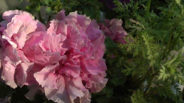 Бог в помощь! смотреть онлайн