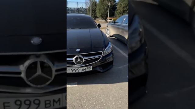 Wengalbi Vs Tamaev  GONKA TITANOV AMG