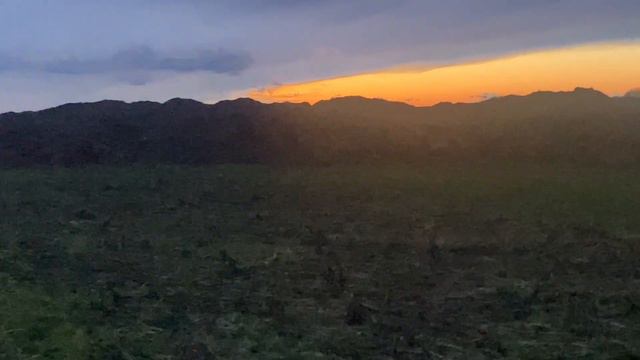 Секрети вирощування високого врожаю цукрових буряків смотреть онлайн