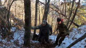 Охота на медведя в горах Кавказа!