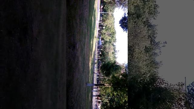 Джоник на прогулке смотреть онлайн