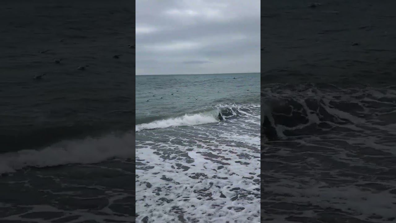 12.03.23 г. Погода Лазаревское #shorts #погодалазаревское #погодасочи #пасмурно #веснавсочи смотреть онлайн