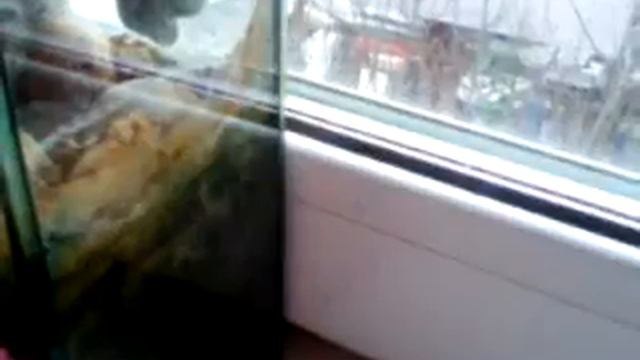 Побег с полки часть 10 смотреть онлайн