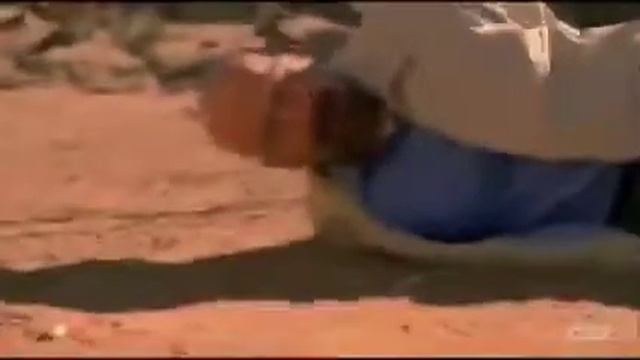 Walter White Falls Over Meme