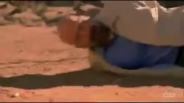Walter white falls over meme