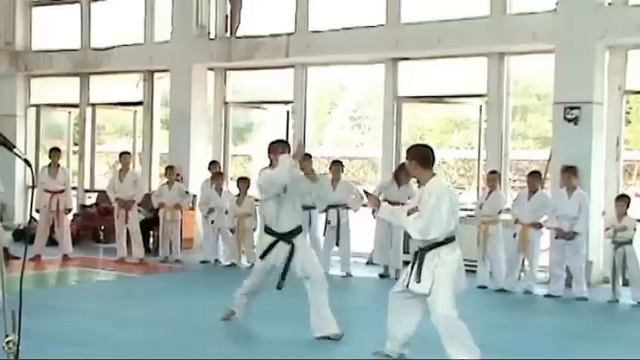 Yeghegnadzor shotokan karate смотреть онлайн
