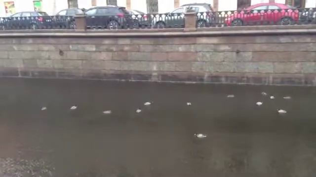 Нева смотреть онлайн