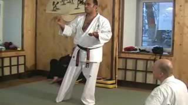 КАРАТЭ Ф.ФИЛИО-МАСТЕР КЛАСС Часть-2/2 смотреть онлайн