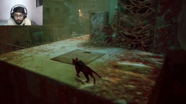 Stray | Livestream | Chill Gameplay Walkthrough | PART1 смотреть онлайн
