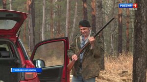 Фотоловушки засняли рысь на территории лесов Сосновского района.avi