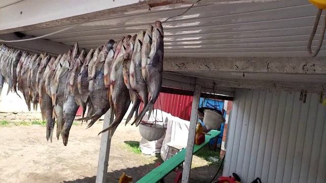 Улов на Хопре смотреть онлайн