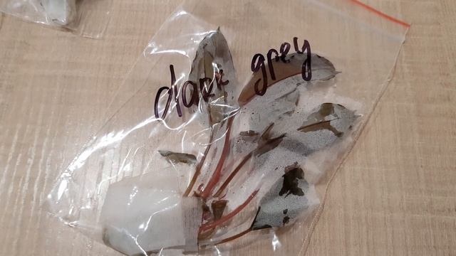 Новые буцефаландры смотреть онлайн