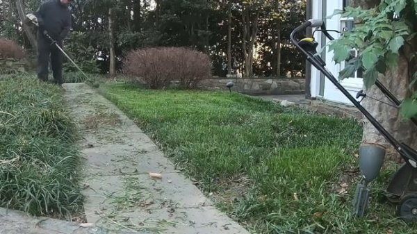 Landscape Like a Pro: How to cut Liriope/Monkey Grass back for the spring time.