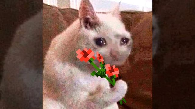 С Днём Рождения, Владимир смотреть онлайн