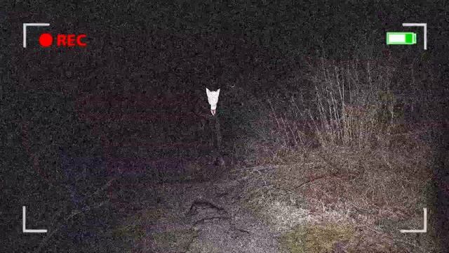 Слендер пони в реальной жизни. Slender Pony In Real Life. Horror Video смотреть онлайн