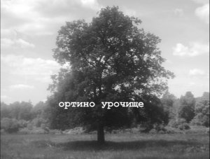 Ортино урочище (2020)