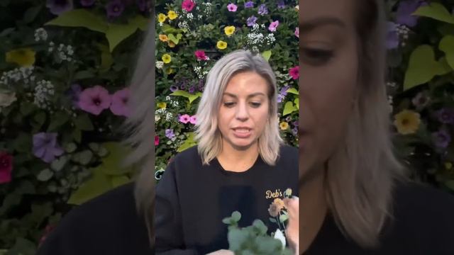 Today’s Top 5 Plants, April 27 смотреть онлайн