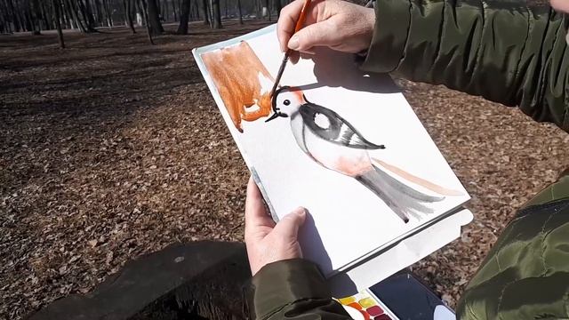 Мастер-класс по рисованию. "Дятел" смотреть онлайн