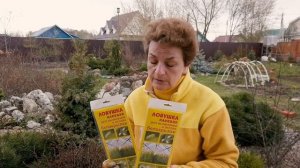 Как бороться с белокрылкой