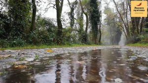 Рассказ мужчины | Измена жены. Месть мужа. Тяжелый развод. Реальная история