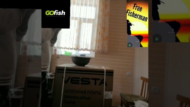 сазан, карп учун бойллар! Sazan, Karp Uchun Boyllar!