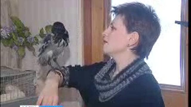 Домашний зоопарк Трофимовых смотреть онлайн