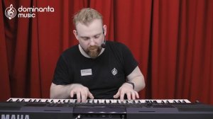 Домашний синтезатор с семплером | Yamaha PSR-EW410