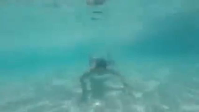 GoPro Vids from Marco Island смотреть онлайн