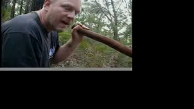 Sunday in the Shed part 3 - Agave Didjeridu смотреть онлайн