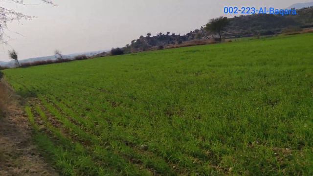 Al Baqara Verse # 223.Urdu Translation. Quran About relationship of Husband & Wife. #dailyayat смотреть онлайн