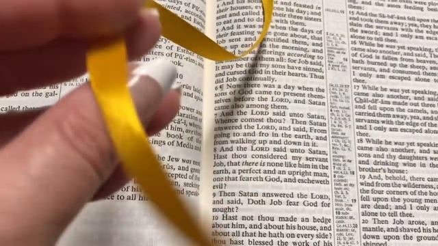 KJV Cambridge Concord Reference Bible Review in Black Calf Split Leather смотреть онлайн