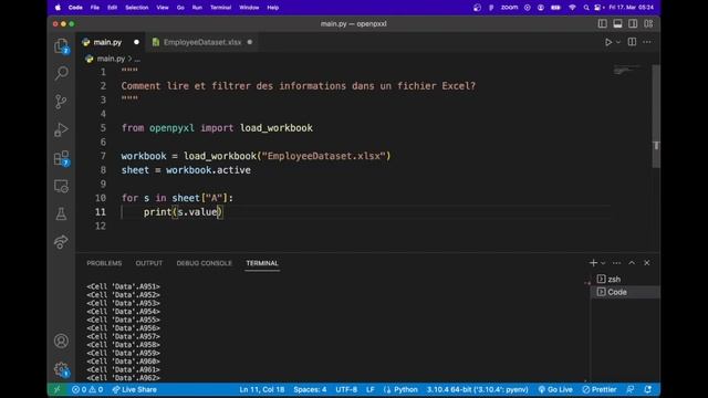 Comment Lire et Filter des informations dans un fichier Excel - Python смотреть онлайн