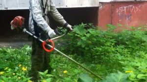 покос травы,бензокоса Stihl FS 100 grass mowing