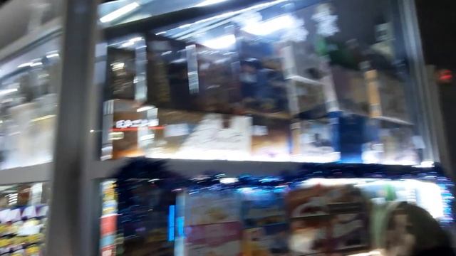 Как встретить НОВЫЙ ГОД в поезде. Прогулка по САМАРЕ. Самый большой ТУАЛЕТ. ЖИВОТНЫЕ В ВАГОНЕ ПОЕЗД смотреть онлайн