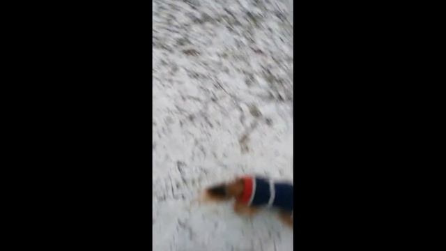 Говорят, под Новый год что ни пожелается... смотреть онлайн