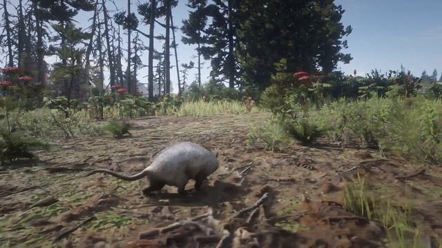 RDO Opossum смотреть онлайн