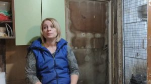 СОЛЬ в рационе кур. Давать или нет в частном хозяйстве?