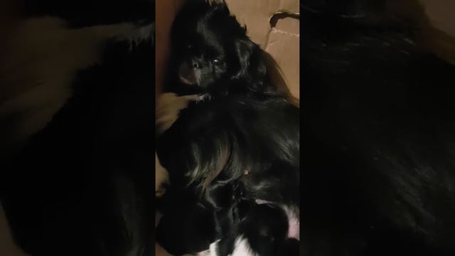 Мама спит, она устала) смотреть онлайн