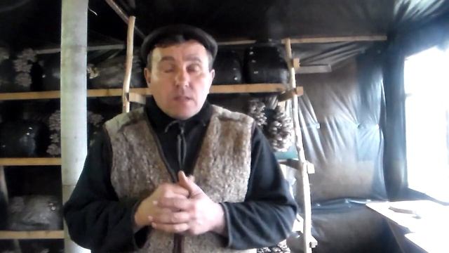 Как найти мицелий высокого качества? смотреть онлайн