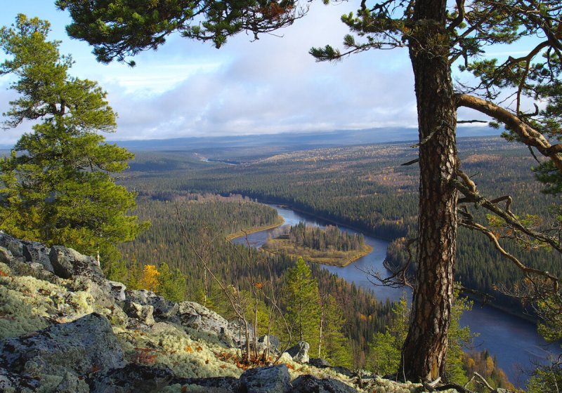 Сплав по р. Печора. смотреть онлайн